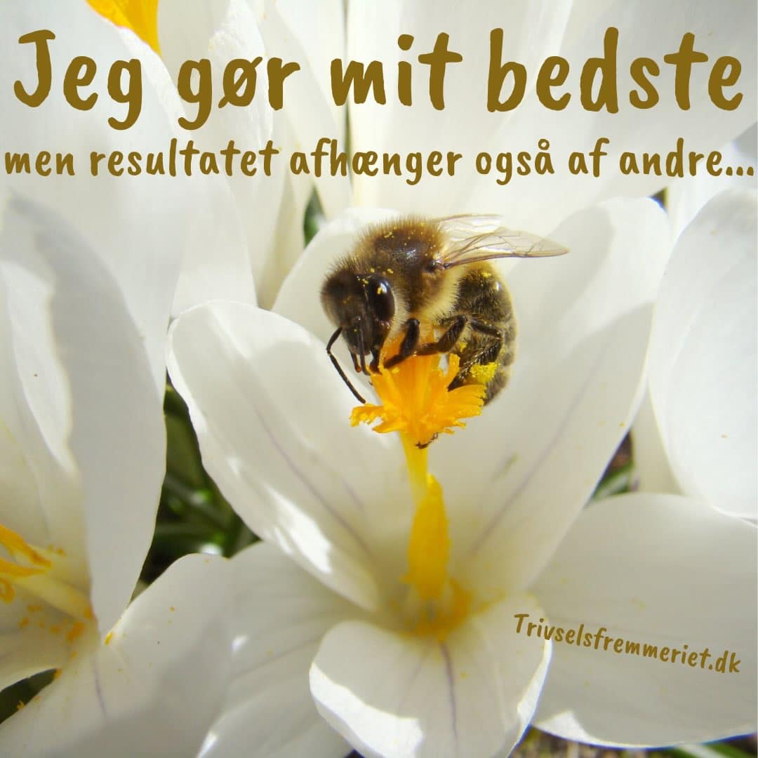 Nogle gange gør vi virkelig vores bedste, men opnår ikke det ønskede. Husk at resultatet også afhænger af andre! Tag kun ansvar for din del, lad andre tage ansvar for deres - og mærk lettelsen 🙏 Dbh JetteCoach 😊🪫—> 🔋🤸#mistrivsel #trivsel #depression #angst #trivselsfremmeriet